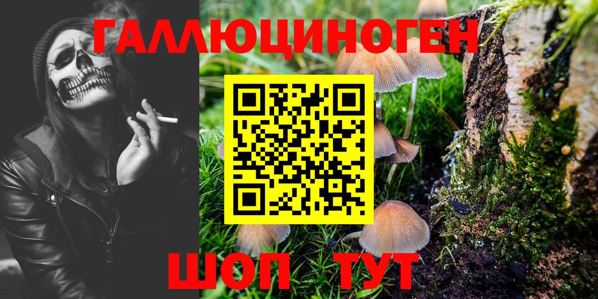 Псилоцибиновые грибы Cubensis Корсаков