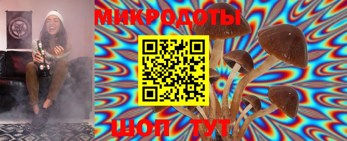 Корсаков  Псилоцибиновые грибы прущие грибы  Псилоцибиновые грибы Psilocybine cubensis  Вход с VPN 